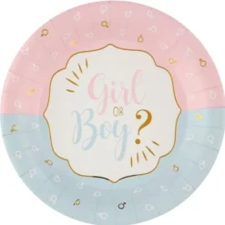 Clearance 10 Assiettes En Carton Girl Or Boy Theme D Co Baby Shower