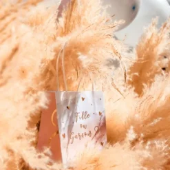 Online 6 Sacs Cadeaux Fille Ou Gar On Gender Reveal Theme Gender Reveal