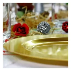 New Assiette En Plastique Ronde R Utilisable Or X 6 Pi Ces Theme Eco-Responsable