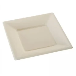 Assiette Plastique Carr E Ecru R Utilisable 18 Cm X 12 Pi Ces Theme Eco-Responsable