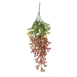 Badaboum Branche D'Algues Degrade Vert Et Rouge 80Cm Sale
