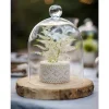 Badaboum Centre De Table Rondin De Bois 25Cm Online