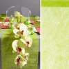 Badaboum Chemin De Table Vert Anis Fanon 5Mx30Cm Outlet