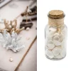 Badaboum Coquillages Décoratifs En Flacon 13Cm New
