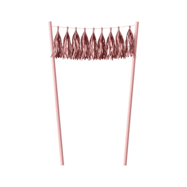 Badaboum D Coration G Teau Pompons Rose Gold