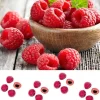 Badaboum Dragees Pate De Fruit Framboise Enrob Chocolat