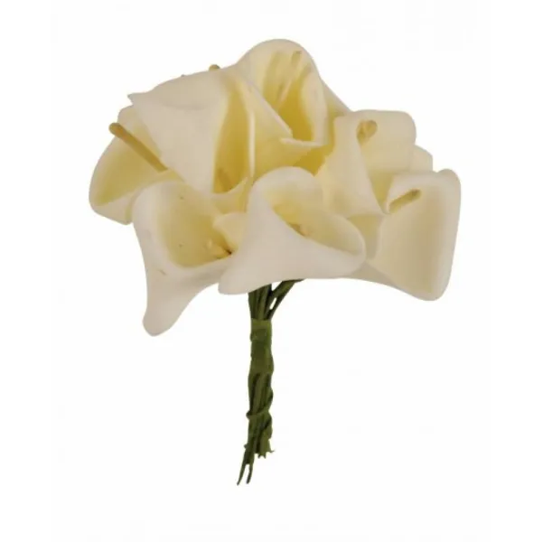 Badaboum Fleur Arum X 12 Pi Ces