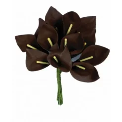Badaboum Fleur Arum X 12 Pi Ces