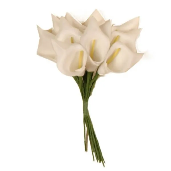 Badaboum Fleur Arum X 12 Pi Ces