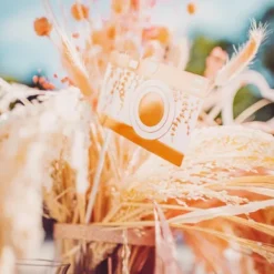 Badaboum Kit Photobooth Vegetal Rose Gold X 10 Pi Ces