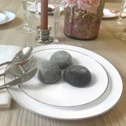 Lot De 16 Assiettes Plastique R Utilisables Gourmet Argent Theme Eco-Responsable