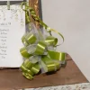 Badaboum Lot De 5 Grands Noeuds En Tulle Vert Anis 50Mm New