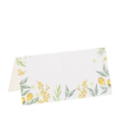 Badaboum Marque Place Citron Mimosa X 10 Pi Ces