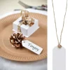 Badaboum Marque Place Etiquette En Bois Blanc X6 Pi Ces