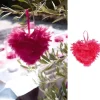 Badaboum Petit Coeur En Plume Fuchsia 12Cm