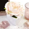 Badaboum Petit Pot De Rose Gold 8X6Cm