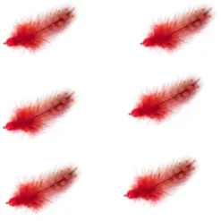 Badaboum Plume Avec Perle Rouge X 6 Pi Ces