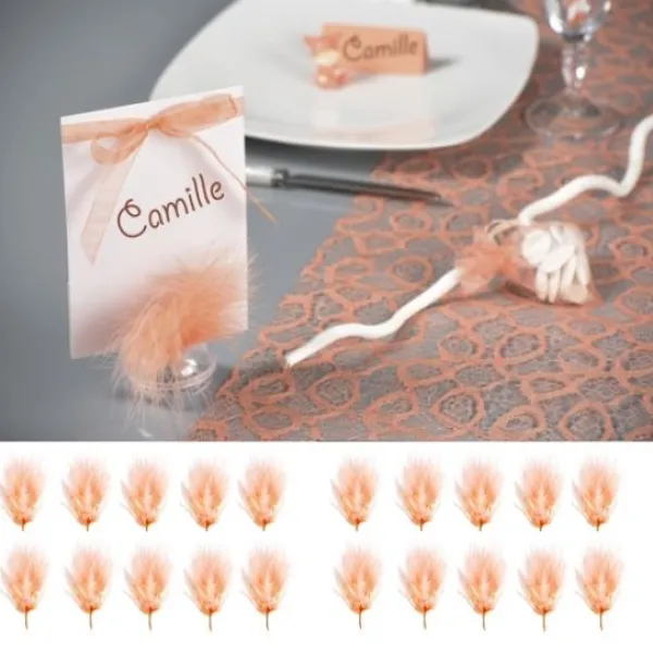 Badaboum Plume De D Coration Corail 7Cm X 20 Pi Ces