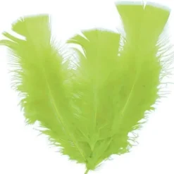 Badaboum Plume De Décoration 7 Cm X 20 Pi Ces Clearance