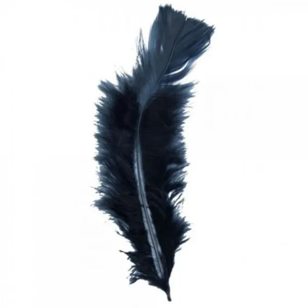 Badaboum Plume De Décoration 7 Cm X 20 Pi Ces Clearance