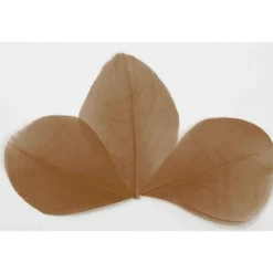 Badaboum Plume Feuille Chocolat X 96 Pi Ces