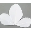 Badaboum Plume Feuille Pas Cher X 96 Pi Ces