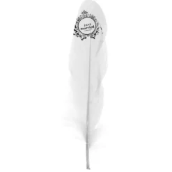 Badaboum Plume Just Married Blanche X 6 Pi Ces