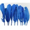 Badaboum Plumes De Dinde Bleu X10Pcs