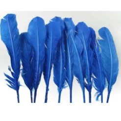 Badaboum Plumes De Dinde Bleu X10Pcs