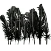 Badaboum Plumes De Dinde Noir X10Pcs