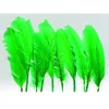 Badaboum Plumes De Dinde Vert X10Pcs