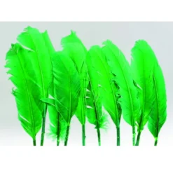 Badaboum Plumes De Dinde Vert X10Pcs