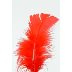 Badaboum Plumes Pieds Plats Rouge X100Pcs