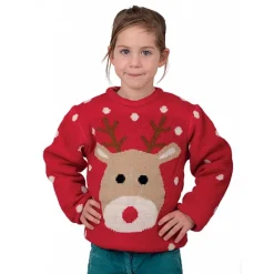 Badaboum Pull De No L Renne 5/6 Ans Online