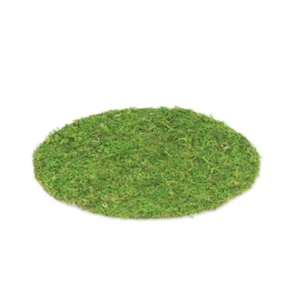Set De Table Mariage Vegetal 35Cm Theme Cinema