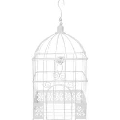 Online Urne Cage Oiseau Carr E Blanche Theme Cinema