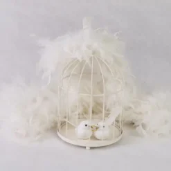 Badaboum Urne Cage Oiseau Coeur