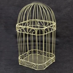 Badaboum Urne Cage Oiseau Des Mari S Ivoire