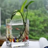 Badaboum Vase Mariage En Verre Rectangle 10 X 11Cm