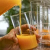 Hot Verre A Degustation Plastique Transparent R Utilisables X 50 Pi Ces Theme Eco-Responsable
